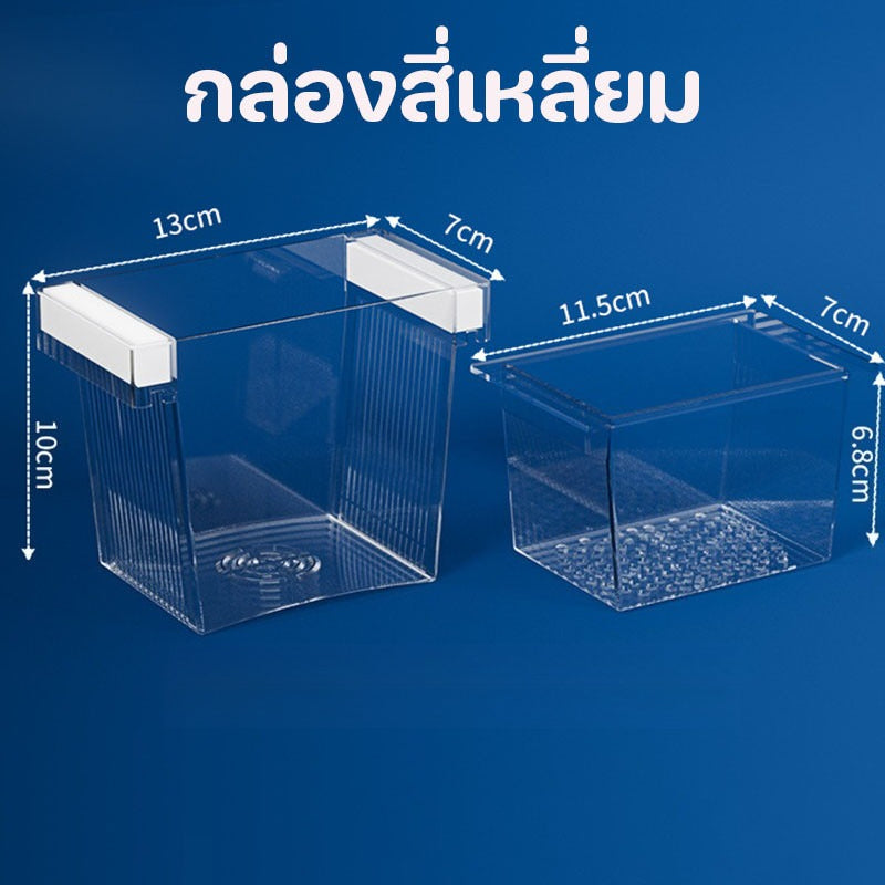 กล่องเพาะพันธุ์ปลาอเนกประสงค์แบบแยกส่วน - 图片11