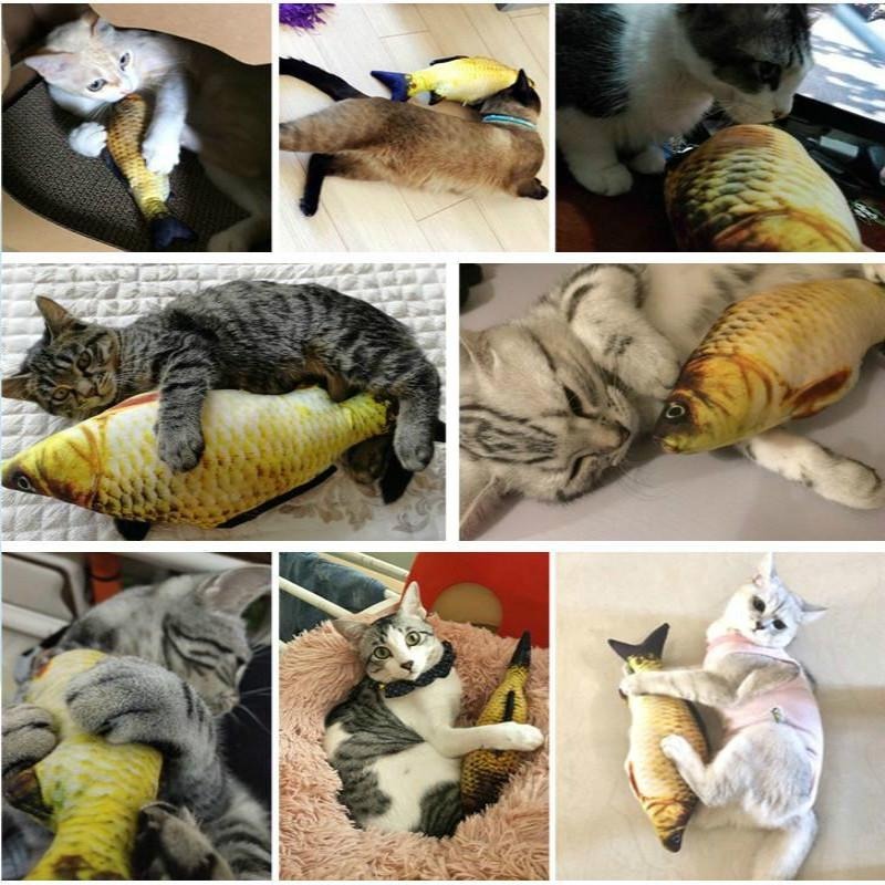 ตุ๊กตาปลารูปแมว - 图片6