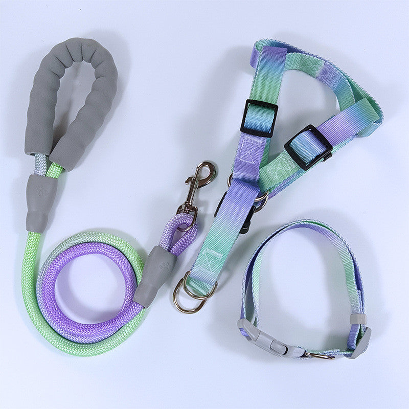 สายจูงสัตว์เลี้ยง สายจูงสุนัข และปลอกคอแมวสีไล่ระดับ