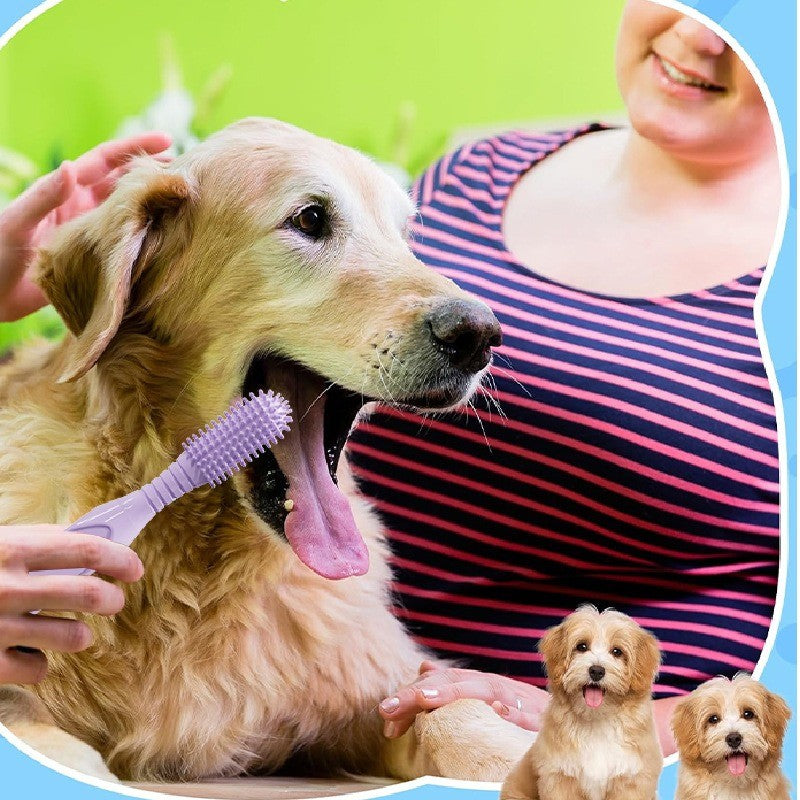 แปรงสีฟันสำหรับสัตว์เลี้ยง 360° ผลิตจากซิลิโคน - 图片4