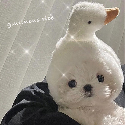 หมวกสัตว์เลี้ยง หมวกน่ารัก - 图片9