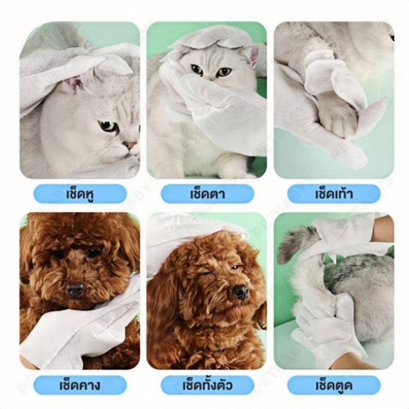 ถุงมือทำความสะอาดสัตว์เลี้ยง - 图片4