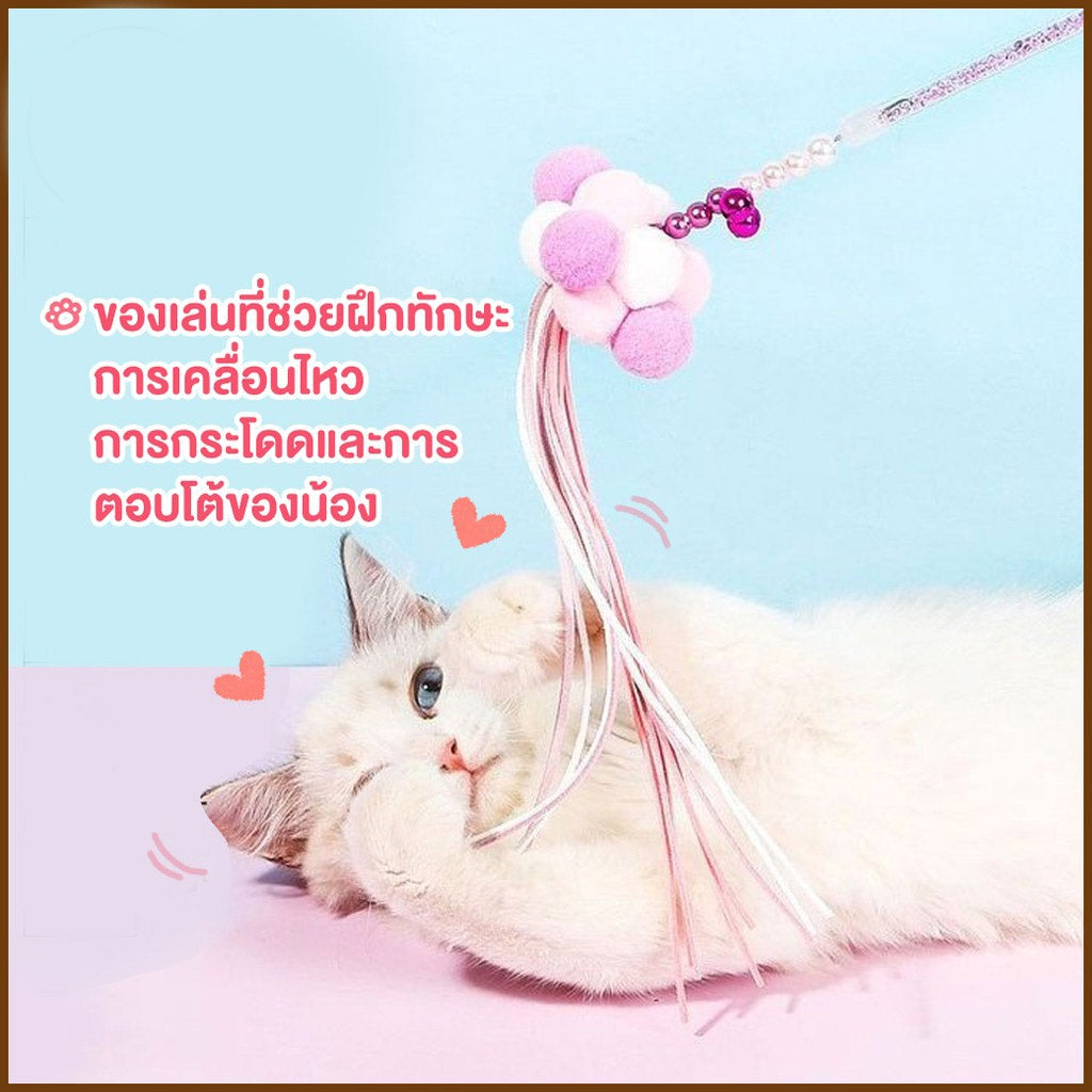 ไม้ล่อแมว - 图片2