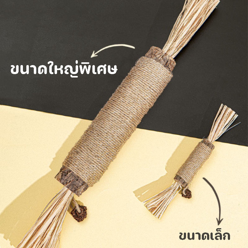 ของเล่นแปรงสีฟันไม้สำหรับแมว - 图片4