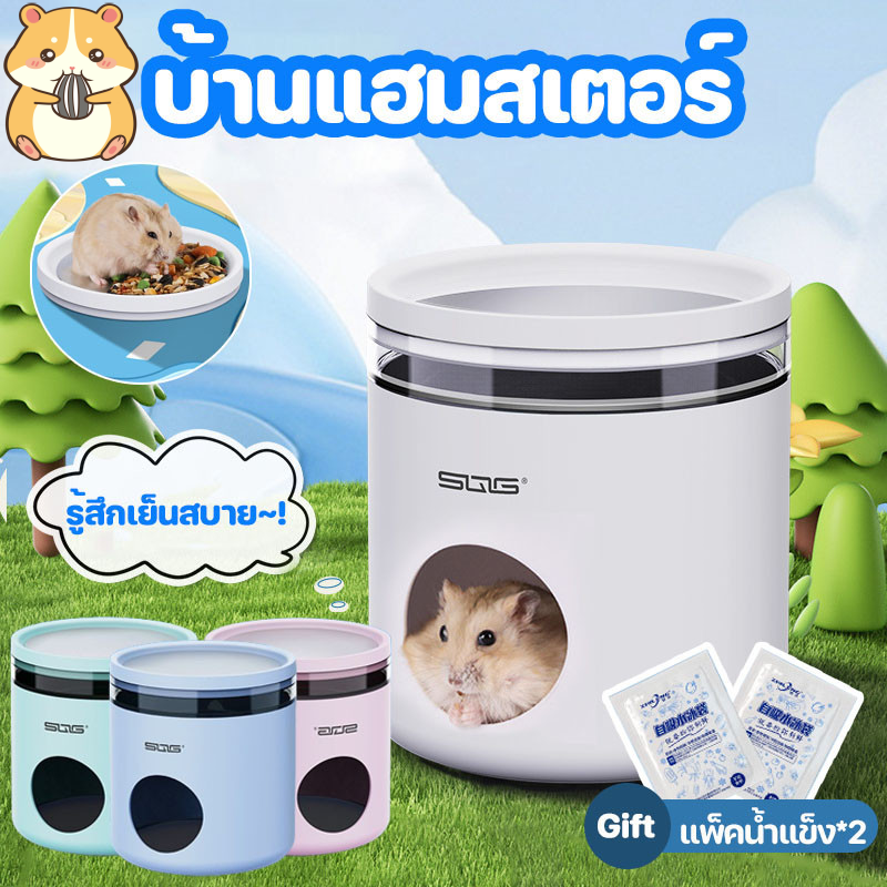 บ้านแฮมสเตอร์, บ้านหนูตะเภา, บ้านสัตว์เลี้ยง - 主图