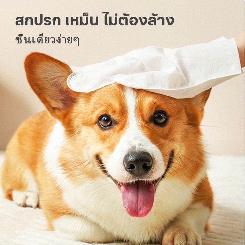 ถุงมือทำความสะอาดสัตว์เลี้ยงแบบใช้แล้วทิ้ง - 图片2