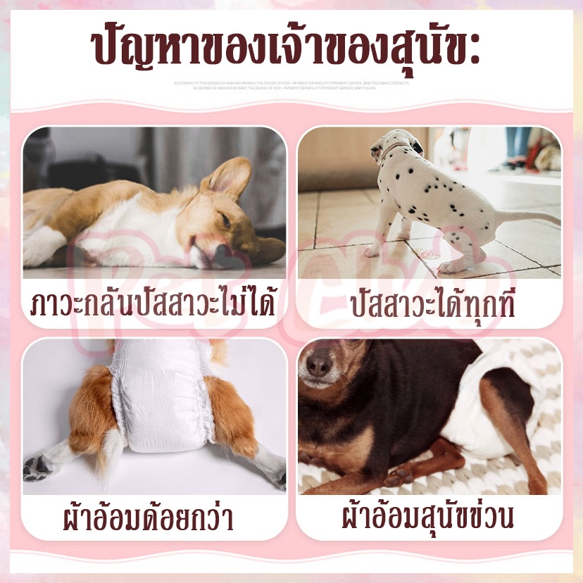 แพมเพิส ผ้าอ้อมสัตว์เลี้ยง - 图片3
