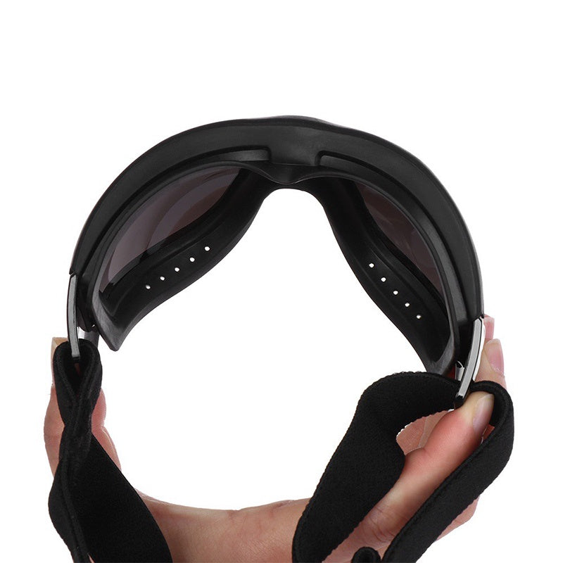 แว่นกันแดดสำหรับสัตว์เลี้ยง - 图片4