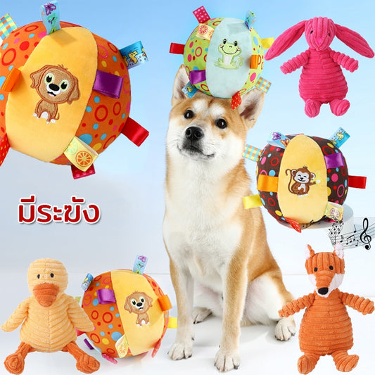 ของเล่นลูกบอลฝึกสุนัข - 主图