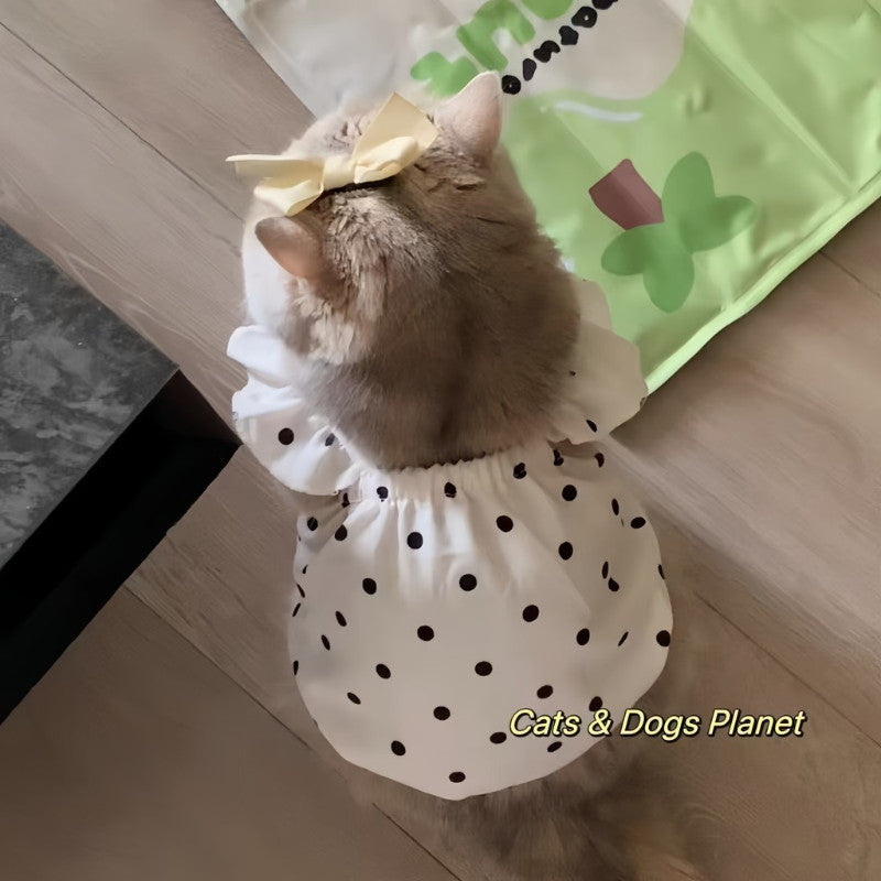 เสื้อเชิ้ตลายจุดน่ารักพร้อมลายสัตว์เลี้ยง เสื้อเชิ้ตเดรสลายแมว - 图片3