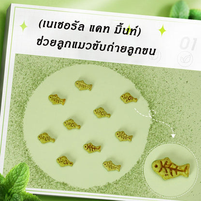 คุกกี้สัตว์เลี้ยงมินิ รูปปลาเล็ก 80g - 图片3