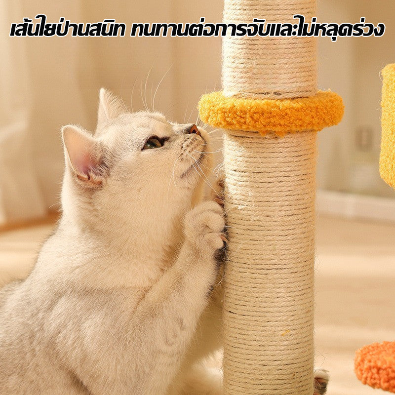 อพาร์ทเมนต์แมวสามชั้น - 图片4