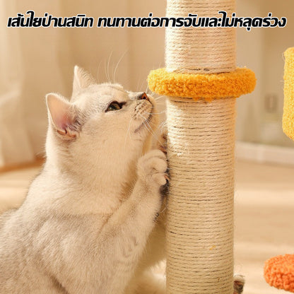 อพาร์ทเมนต์แมวสามชั้น - 图片4