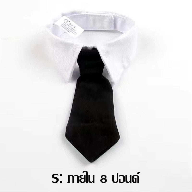 ชุดคอสเพลย์สัตว์เลี้ยง - 图片11