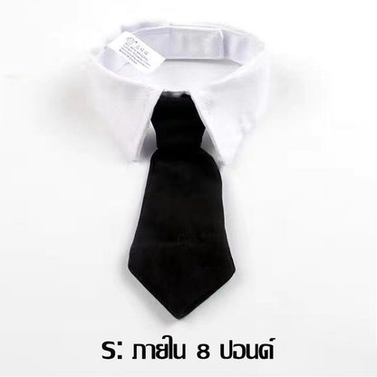 ชุดคอสเพลย์สัตว์เลี้ยง - 图片11