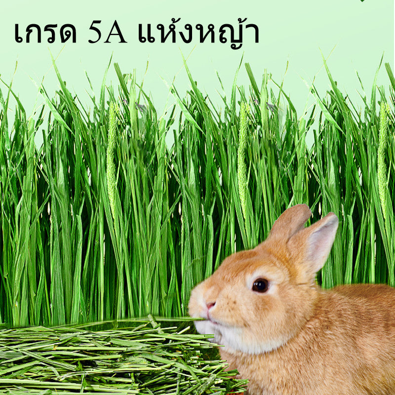 หญ้าแห้งข้าวสาลีสำหรับกระต่าย หญ้าทิโมธี - 图片4
