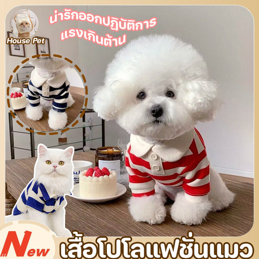 เสื้อโปโลเสื้อผ้าสัตว์เลี้ยงสุดเก๋ - 主图