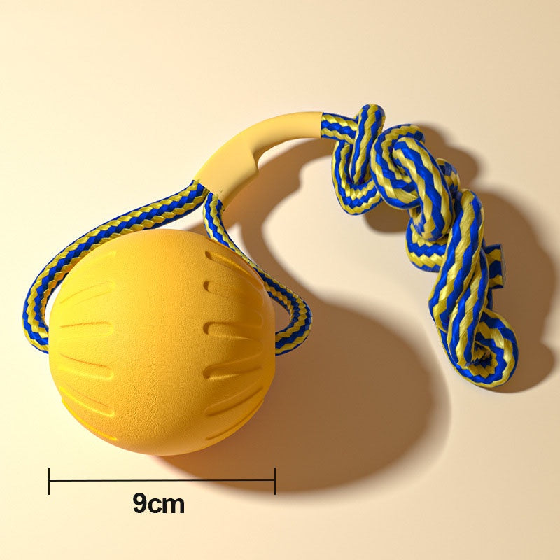 ของเล่นสุนัขจานร่อนแบบโต้ตอบ - 图片9