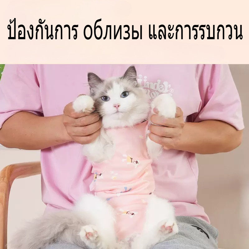 แจ็คเก็ตแมวทำหมันหลังให้นมบุตร - 图片3