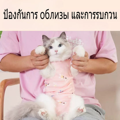 แจ็คเก็ตแมวทำหมันหลังให้นมบุตร - 图片3