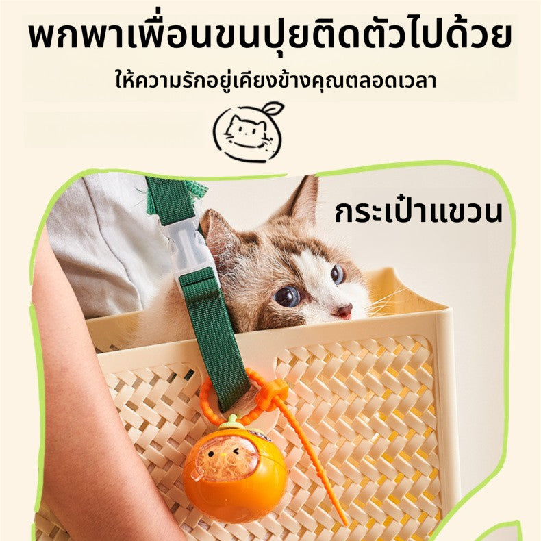 พวงกุญแจแมวใส ที่เก็บขนแมวสุดสร้างสรรค์ - 图片1