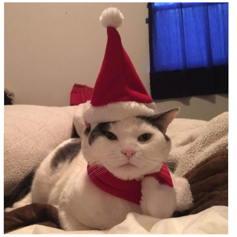 หมวกคริสต์มาสสำหรับสัตว์เลี้ยง เสื้อผ้าสัตว์เลี้ยง - 图片1