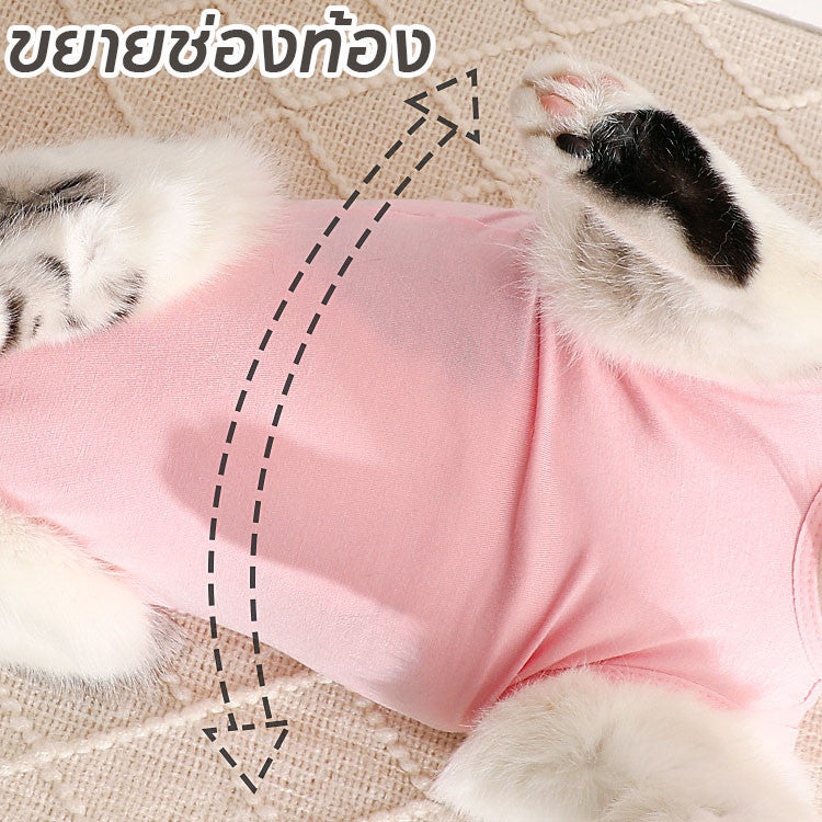 เสื้อผ้าแมวหลังผ่าตัด - 图片4