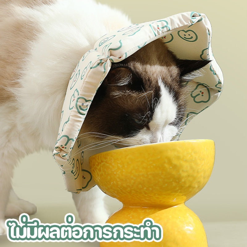 ปลอกคอกันเลียสัตว์เลี้ยง - 图片2