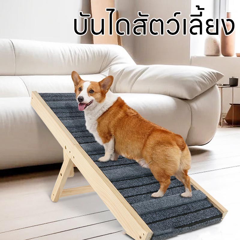 บันไดสำหรับสัตว์เลี้ยงแบบพับได้ พร้อมทางลาดกันลื่น - 主图