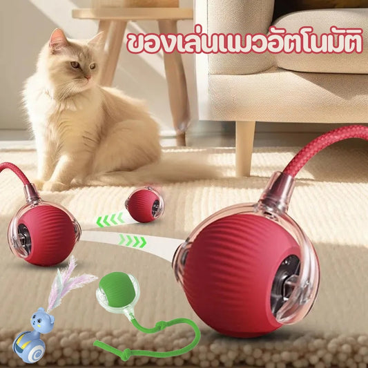 ของเล่นแมวอัตโนมัติแสนสนุก ของเล่นไล่จับขนนก - 主图