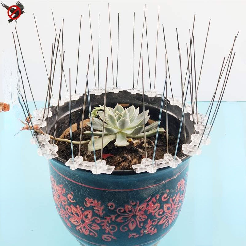 ตะปูไล่นก อุปกรณ์ทำรังนก - 图片4