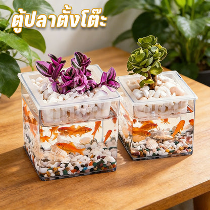 ตู้ปลาตั้งโต๊ะขนาดเล็ก ทำจากวัสดุอะคริลิค - 主图
