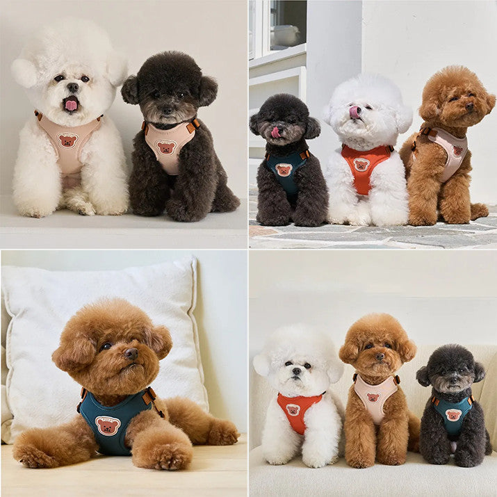 สายจูงสัตว์เลี้ยง, สายรัดอกสุนัขพร้อมสายจูง, ปรับได้ - 图片1