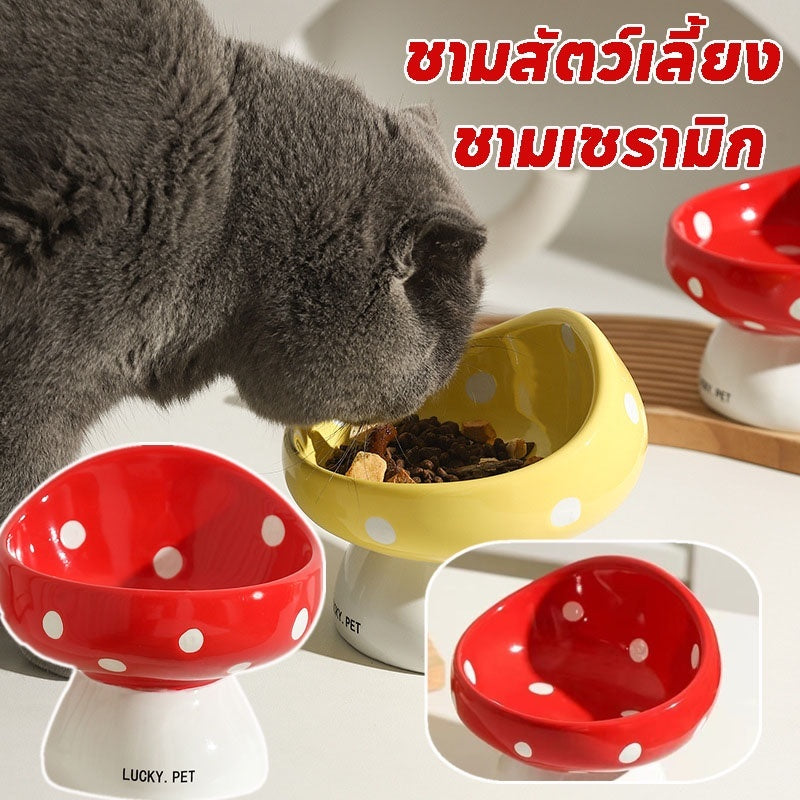 ชามอาหารสัตว์เลี้ยงเซรามิก - 图片1