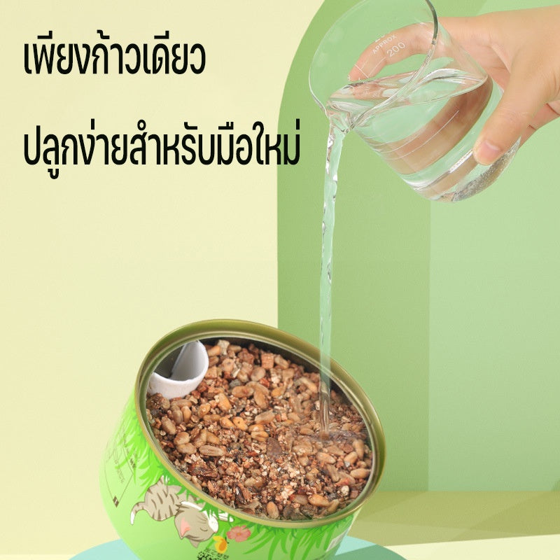 ชุดปลูกหญ้าแมวออร์แกนิกและต้นกล้าข้าวสาลี - 图片3