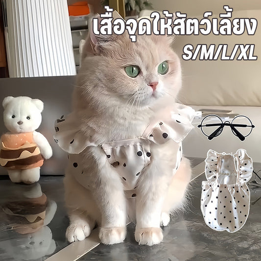 เสื้อเชิ้ตลายจุดน่ารักพร้อมลายสัตว์เลี้ยง เสื้อเชิ้ตเดรสลายแมว - 主图