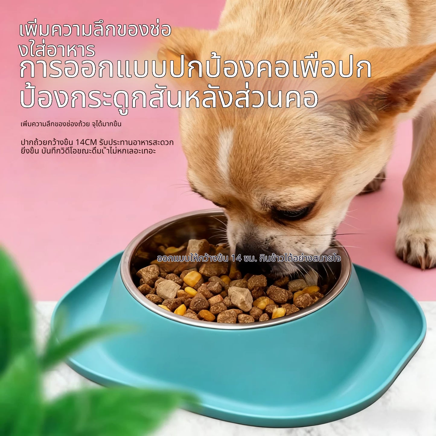 ชามอาหารและน้ำขนาดเล็กสำหรับแมวและสุนัข ที่ป้องกันคอ สเปรย์ไล่มด