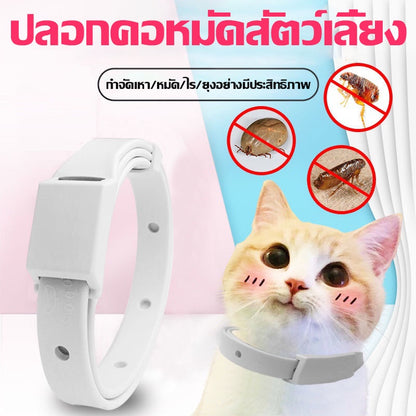 ปลอกคอกันเห็บและหมัด - 主图