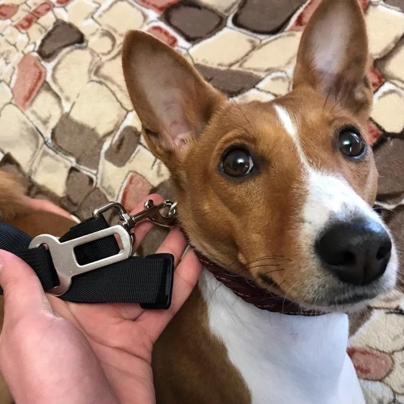 เข็มขัดนิรภัยสำหรับสัตว์เลี้ยงในรถยนต์แบบปรับได้, สายจูงเพื่อความปลอดภัย - 图片2