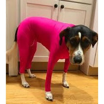 ชุดรัดรูปป้องกันการหลุดร่วงสำหรับสุนัขขนาดกลางและใหญ่ - 图片5