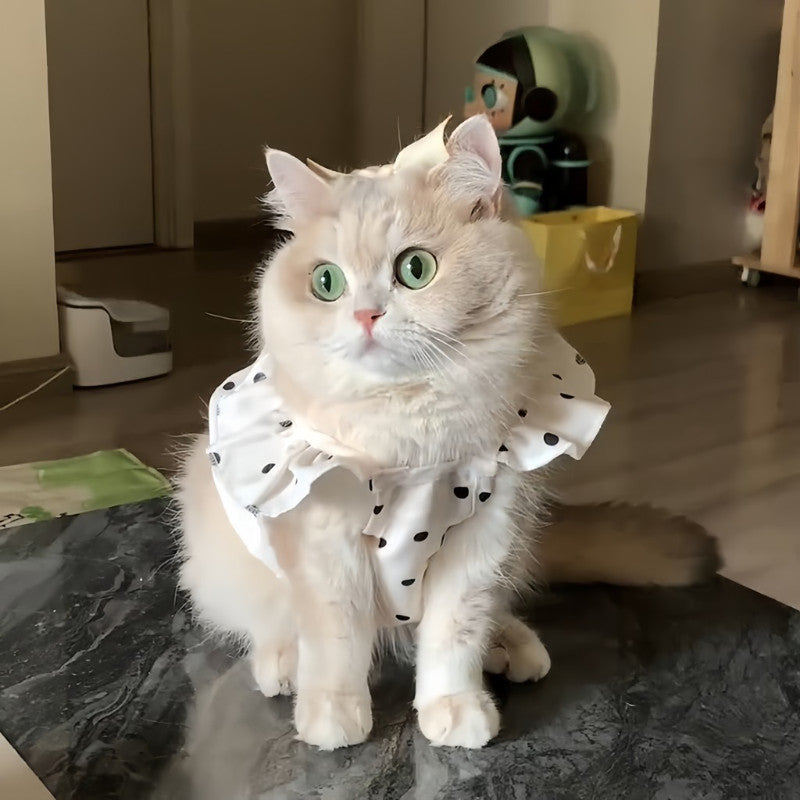 เสื้อเชิ้ตลายจุดน่ารักพร้อมลายสัตว์เลี้ยง เสื้อเชิ้ตเดรสลายแมว - 图片2