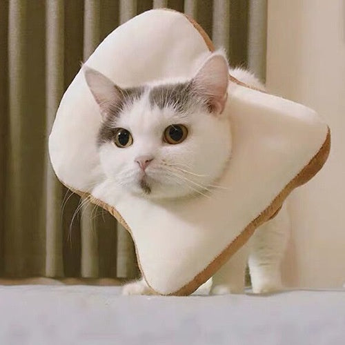 ปลอกคอป้องกันการเลีย - 图片7