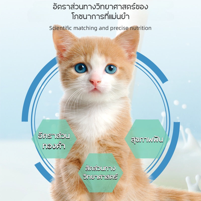 ขนมหญ้าแมว - 图片7