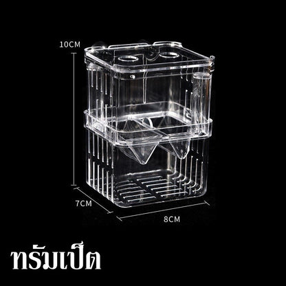 ตู้ปลาแบบมีตาข่ายช่วยแยกปลาวัยอ่อนและปลาโตเต็มวัยออกจากกัน - 图片11