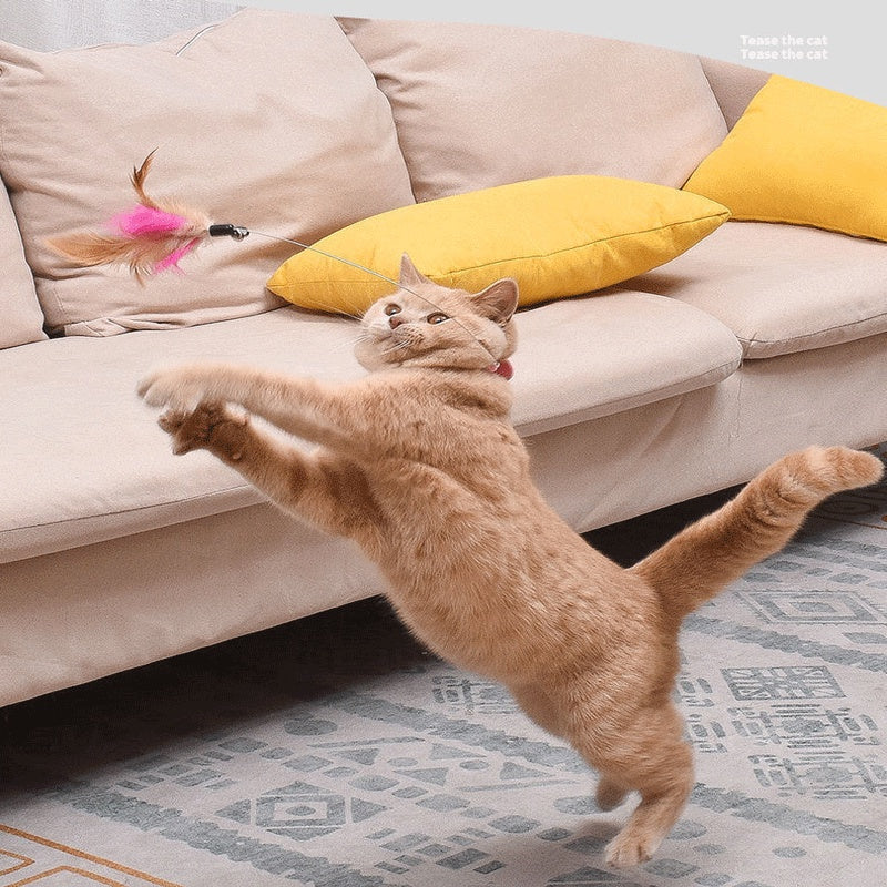 ปลอกคอแมวแสนสนุก ไม้แมวแสนสนุก - 图片4