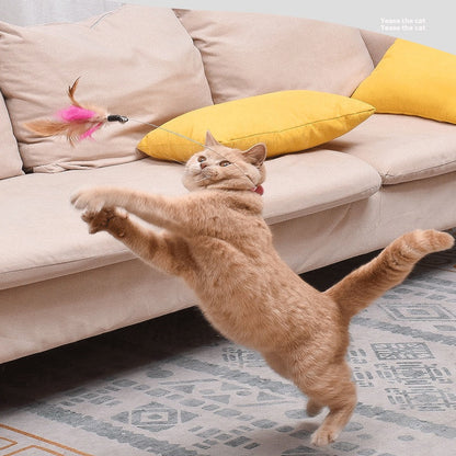 ปลอกคอแมวแสนสนุก ไม้แมวแสนสนุก - 图片4