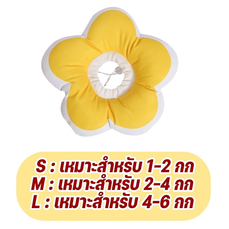 ปลอกคอป้องกันการเลีย - 图片19