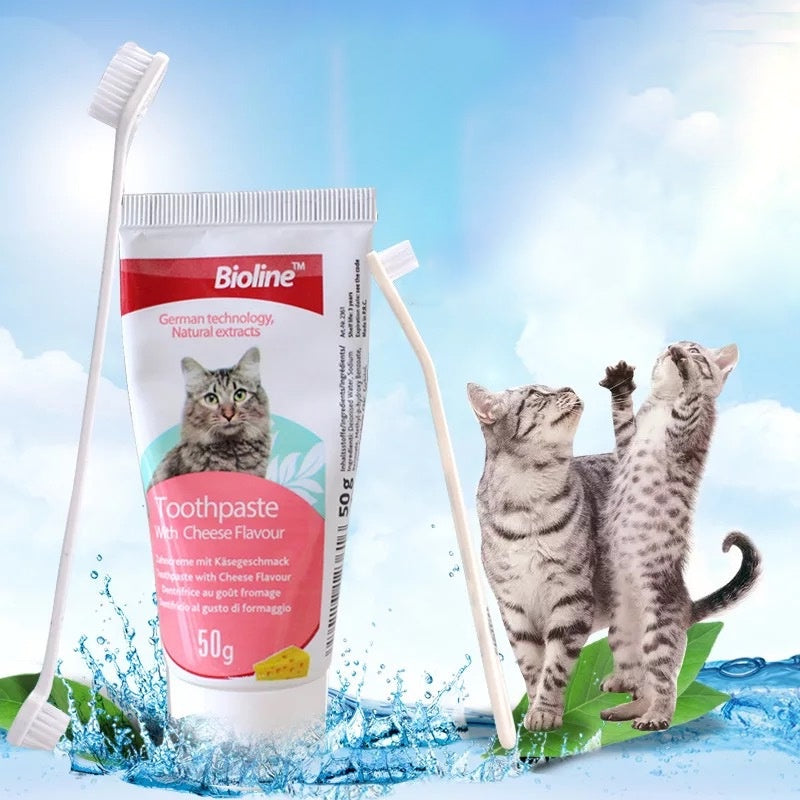 ชุดทำความสะอาดยาสีฟันแมว - 图片5