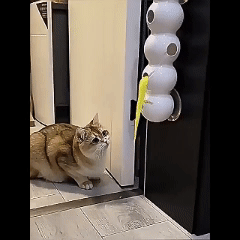 Interactive Cat Toy, Motion Activated Wack-A-Worm Post Toy, Automatic Rechargeable Teasing Tail Cat Toy for Cats