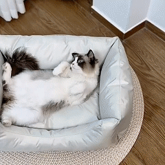 ที่นอนสัตว์เลี้ยง ทำจากผ้าอ็อกซ์ฟอร์ด กันน้ำและกันเชื้อรา นุ่มสบาย พร้อมที่ป้องกันคอ